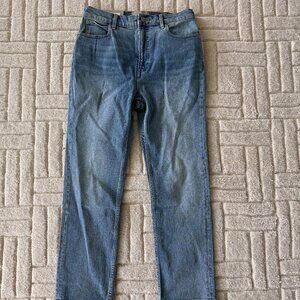 NWT Everlane The Way High Slim Jean in Vintage Light - Size 29 Short